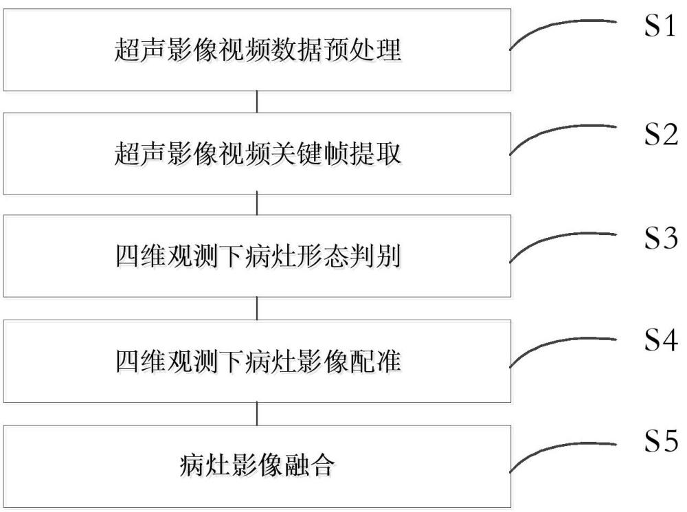 四维超声内镜观测下病灶影像融合方法及系统