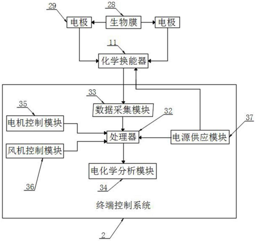 一种可实时监控细胞状态的生物传感系统