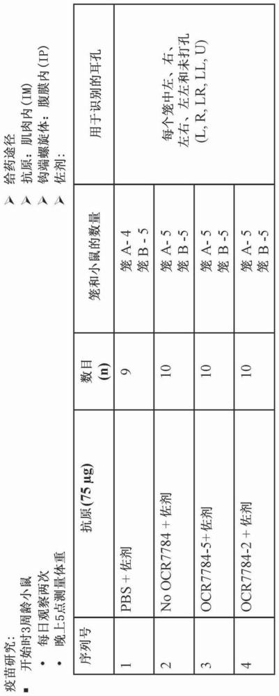 钩端螺旋体毒力调节蛋白及其用途