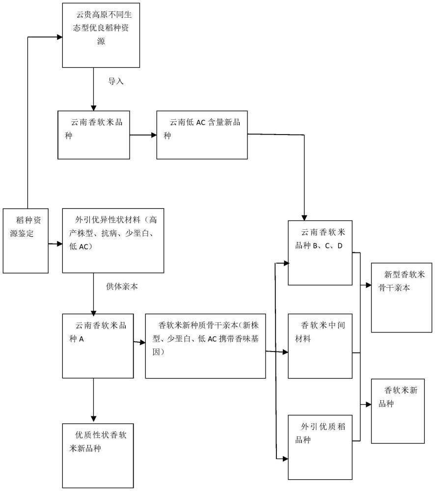 一种云南香软米的选育方法