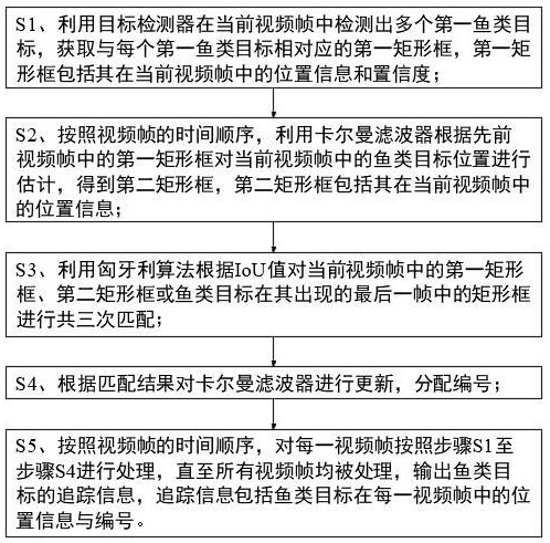 一种基于卡尔曼滤波器的鱼类追踪方法