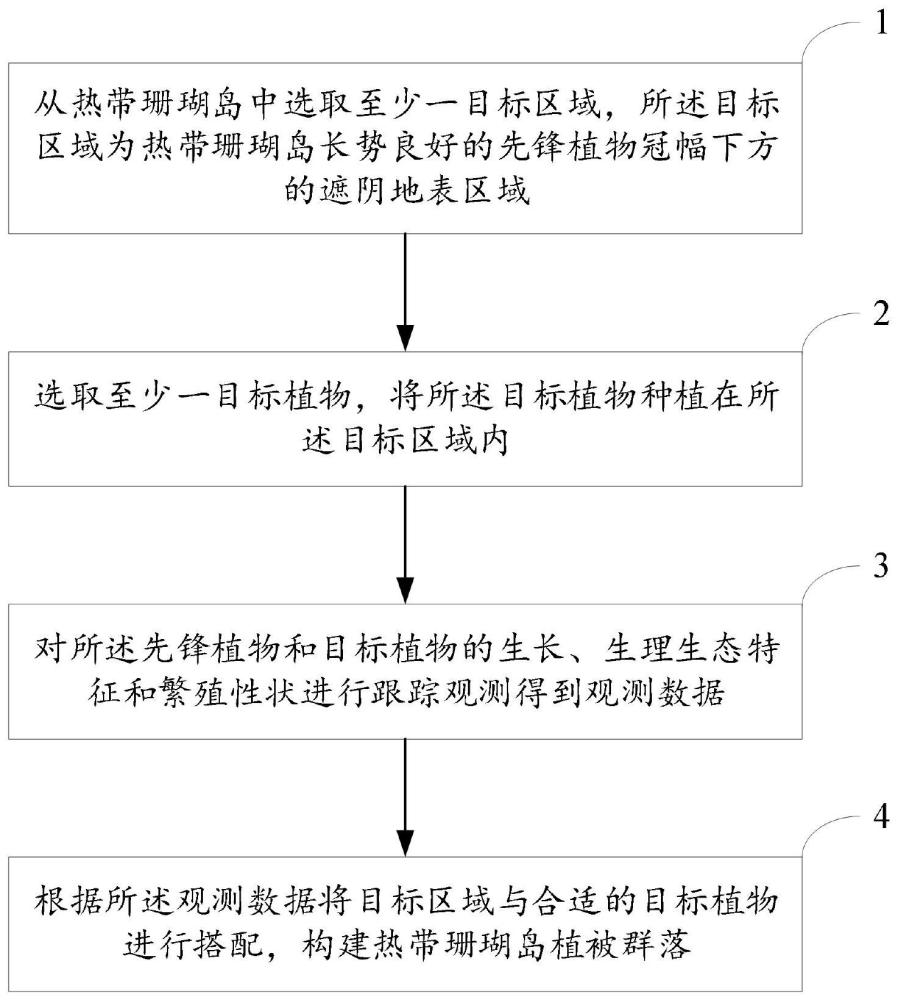 构建热带珊瑚岛植物群落的方法