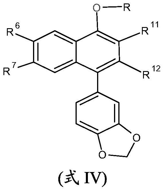 药物组合物及其制备方法与流程