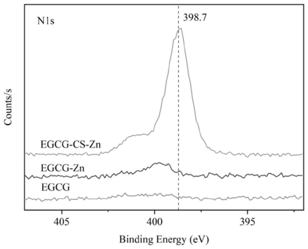 EGCG/Zn-CS及其制备方法与应用