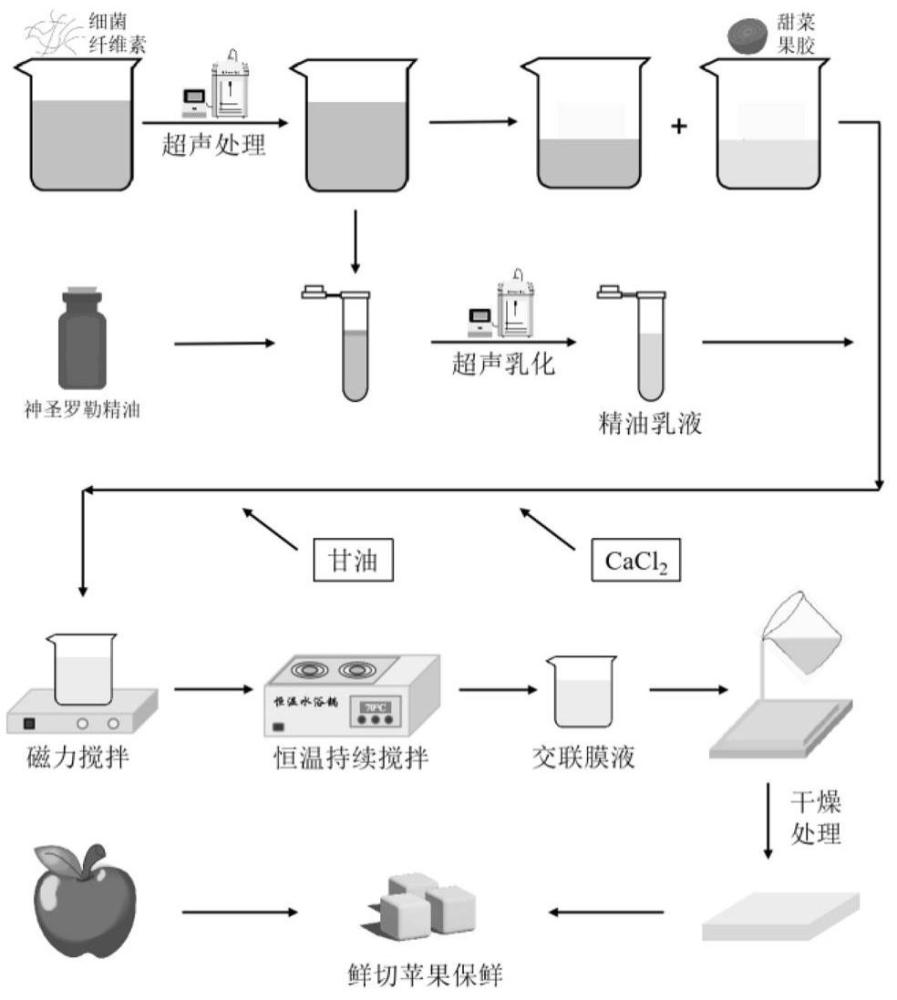 负载神圣罗勒精油乳液的多糖基可食膜及其制法与应用