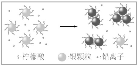 一种双色消逝场散射成像装置、水样中铅离子浓度的检测方法