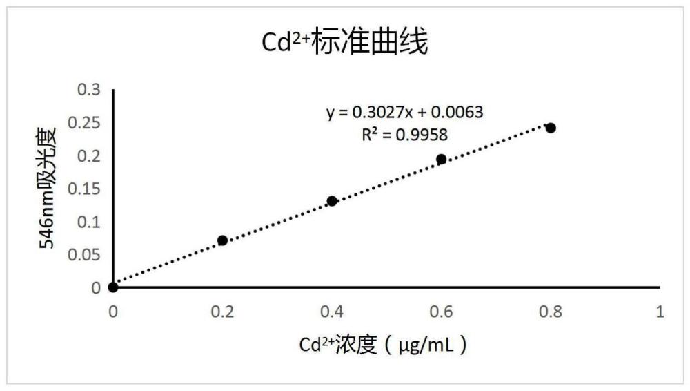 一种水体样品中Cd2+含量的高通量检测方法