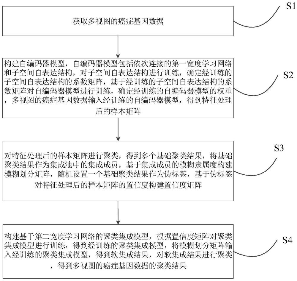 基于宽度学习的多视图的癌症基因数据聚类集成方法及装置