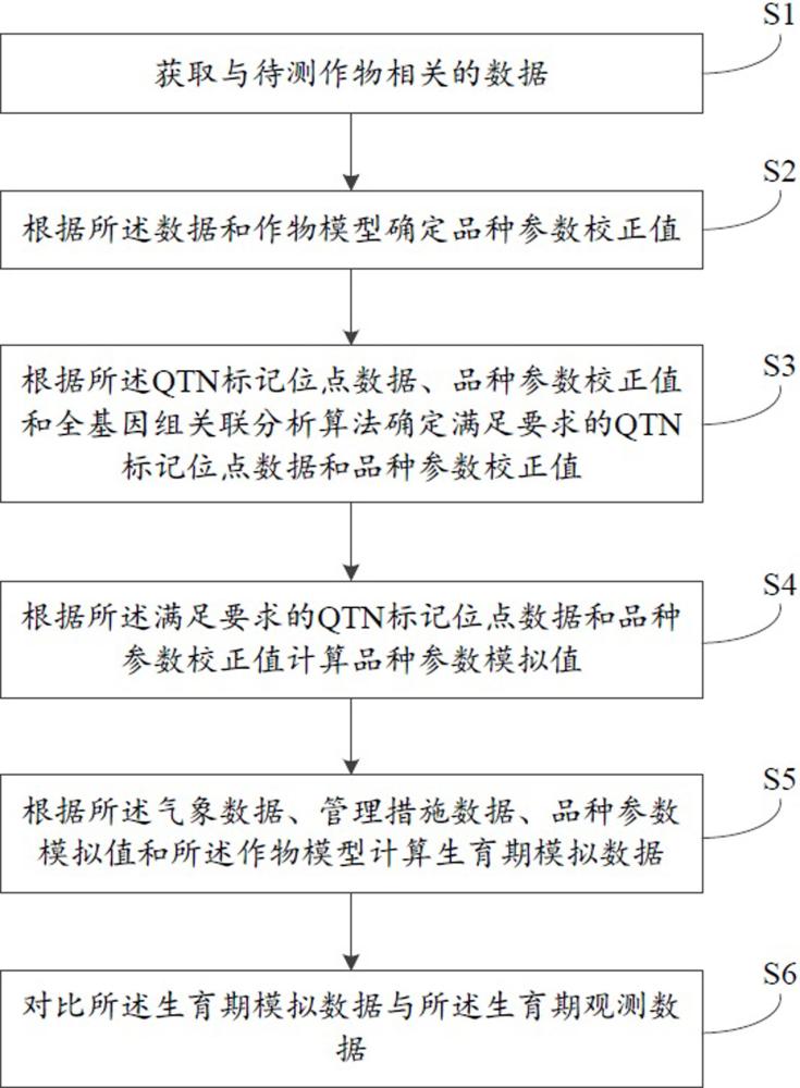 一种基于作物生育期表型及其区域适应性的定量预测方法、系统及装置