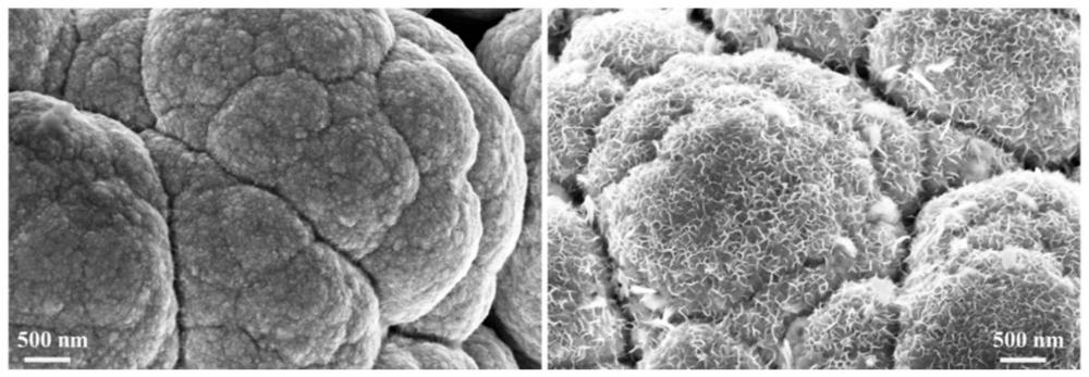 一种电解水制氢电极的活化方法、活化电解水制氢电极的制备方法、电解水制氢电极及电化学装置与流程