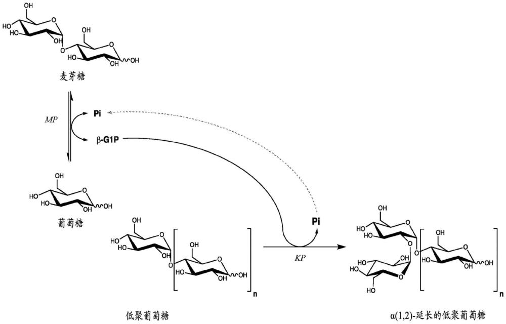 修饰低聚葡萄糖的方法与流程