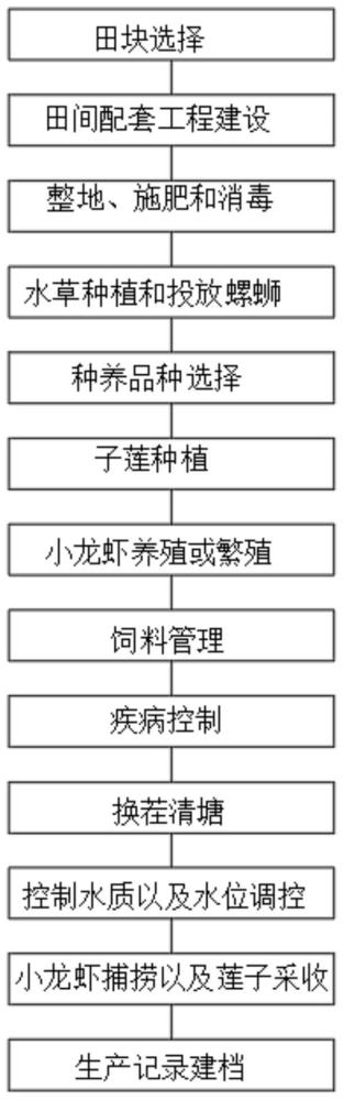 一种荷三虾综合种养方法与流程