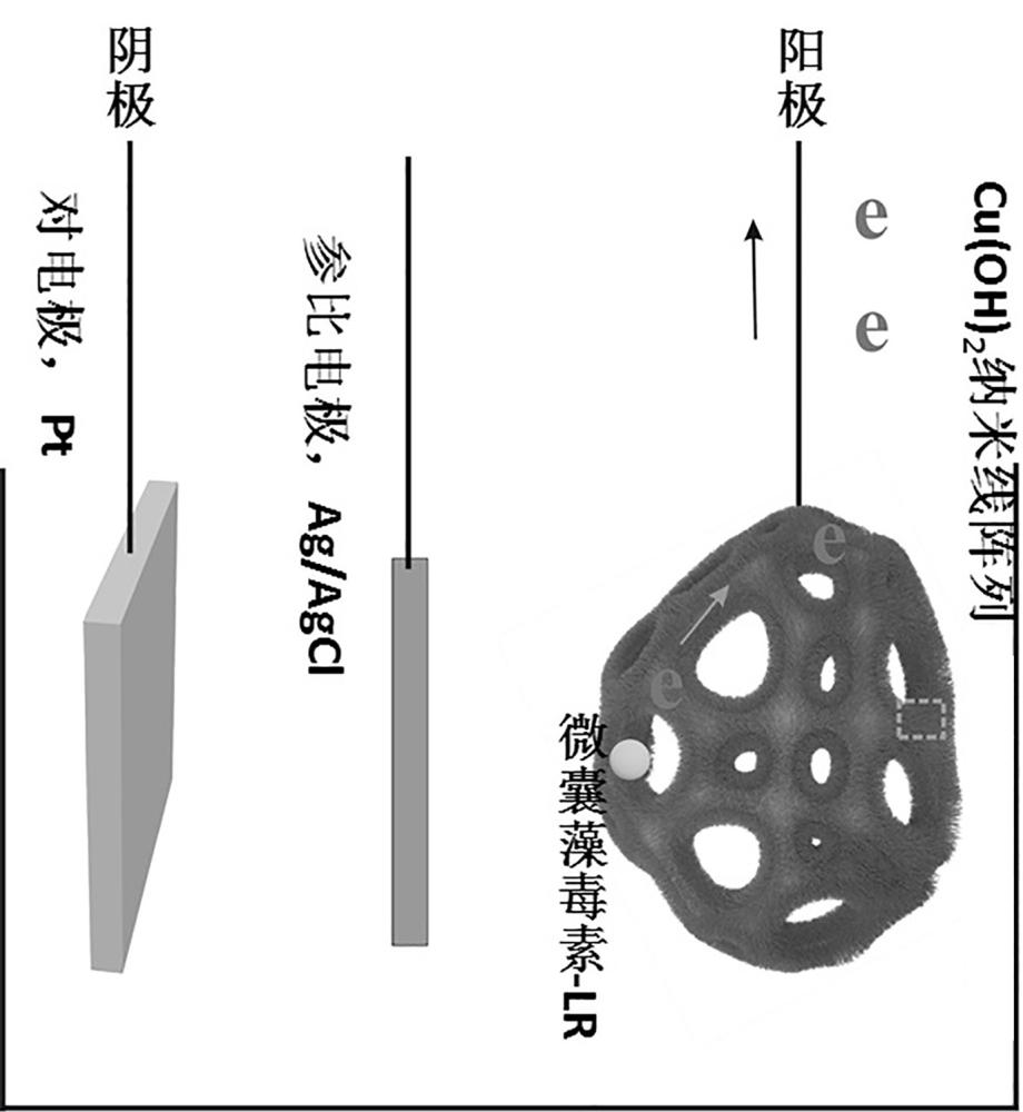 一种水体微囊藻的防治方法