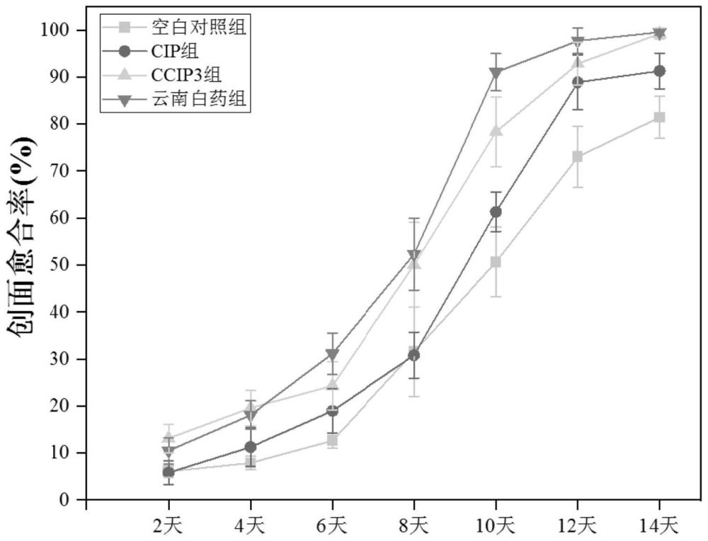 一种羧甲基化野菊花多糖及其制备方法和应用