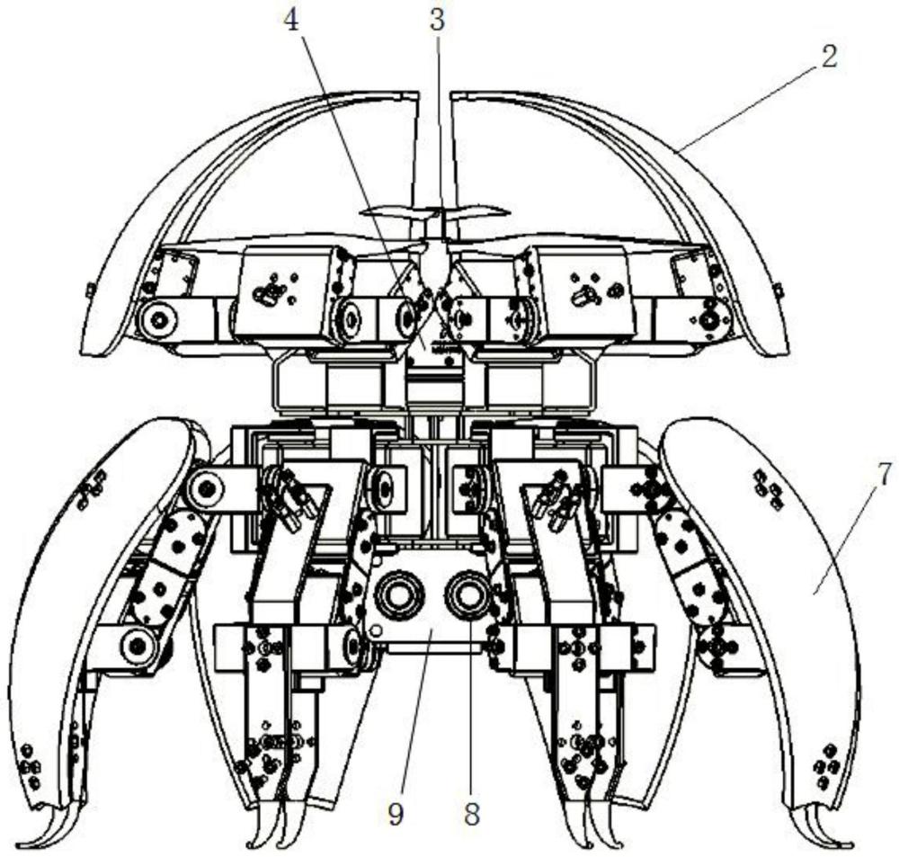 仿生蜘蛛结构简图图片