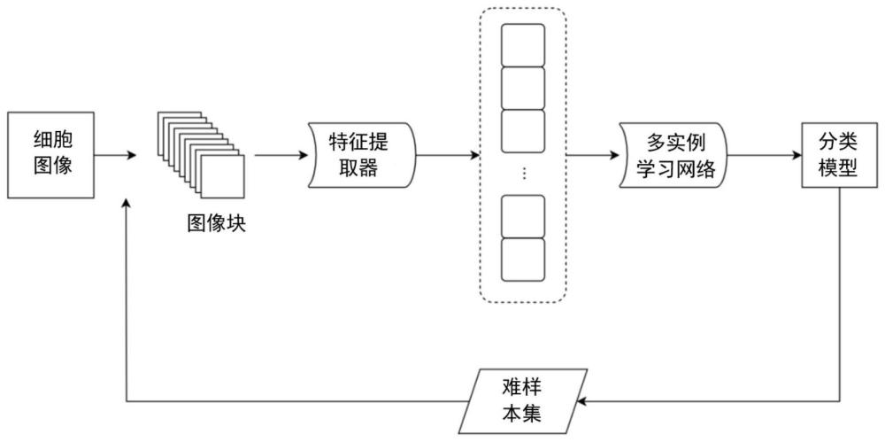 细胞图像质量评估及其模型训练方法、装置、电子设备和存储介质与流程