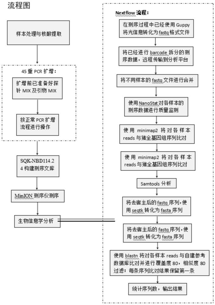 一种超多重PCR引物组和检测广谱猪病原的超多重PCR和纳米孔测序方法与流程