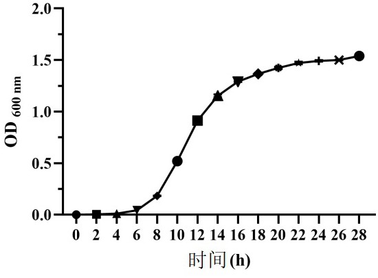 促生长益生菌和应用的制作方法