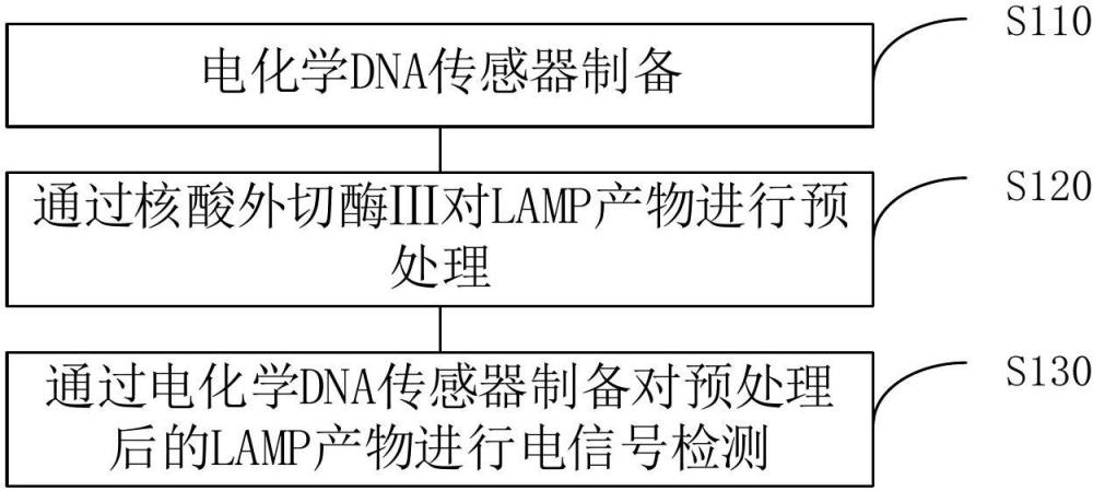 基于电化学DNA传感器的LAMP检测方法与流程