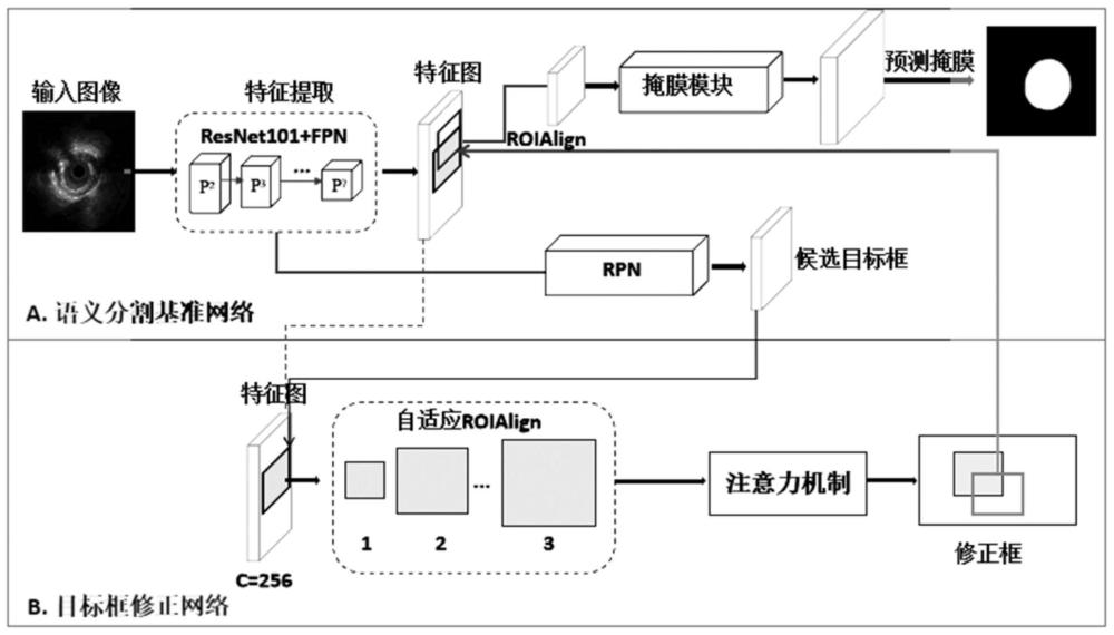 一种基于血管内超声影像的管腔轮廓及外弹力膜识别方法