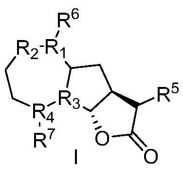 木香烃内酯衍生物及其制备方法和医药应用