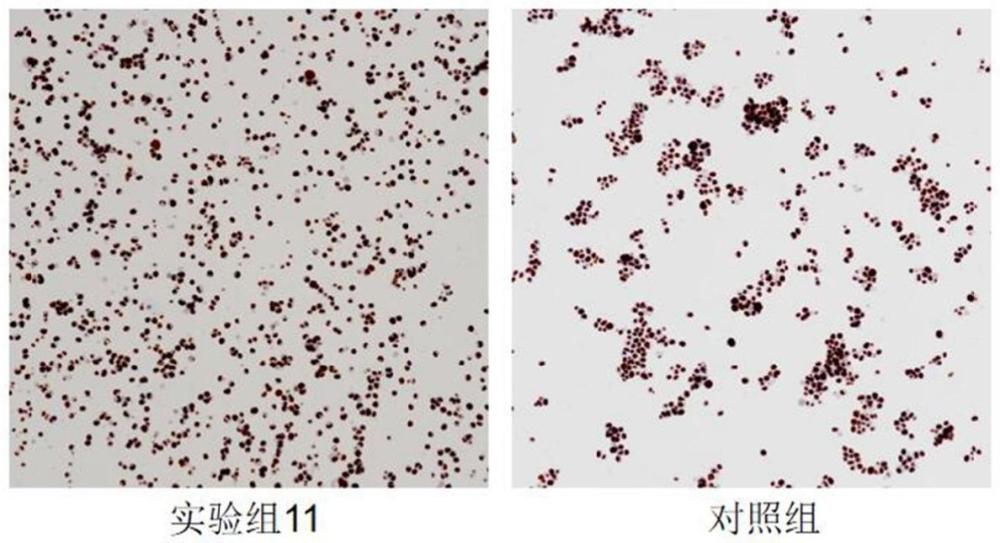 一种细胞固定脱水协同处理试剂及其应用的制作方法