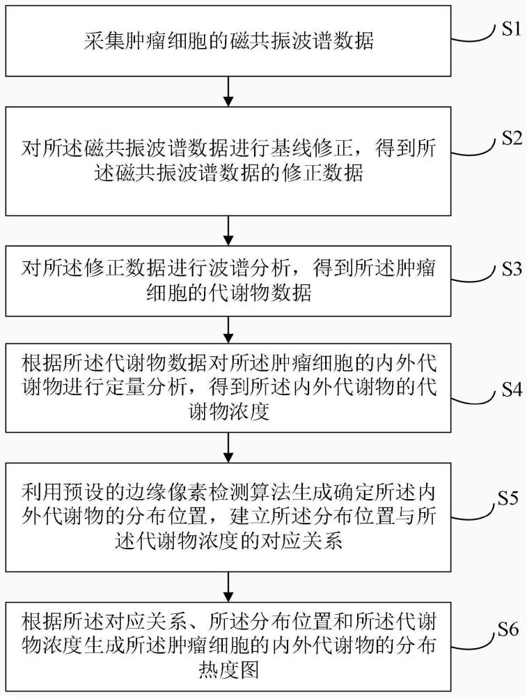 一种肿瘤细胞内外代谢物分布可视化方法及系统