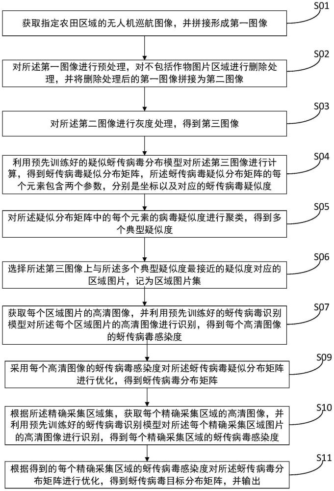 一种蚜传染病毒大范围识别方法、介质及系统与流程