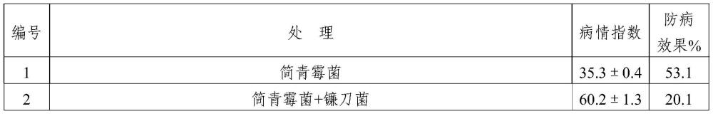 用于防治棉花黄萎病的复合微生物菌剂及其制备方法