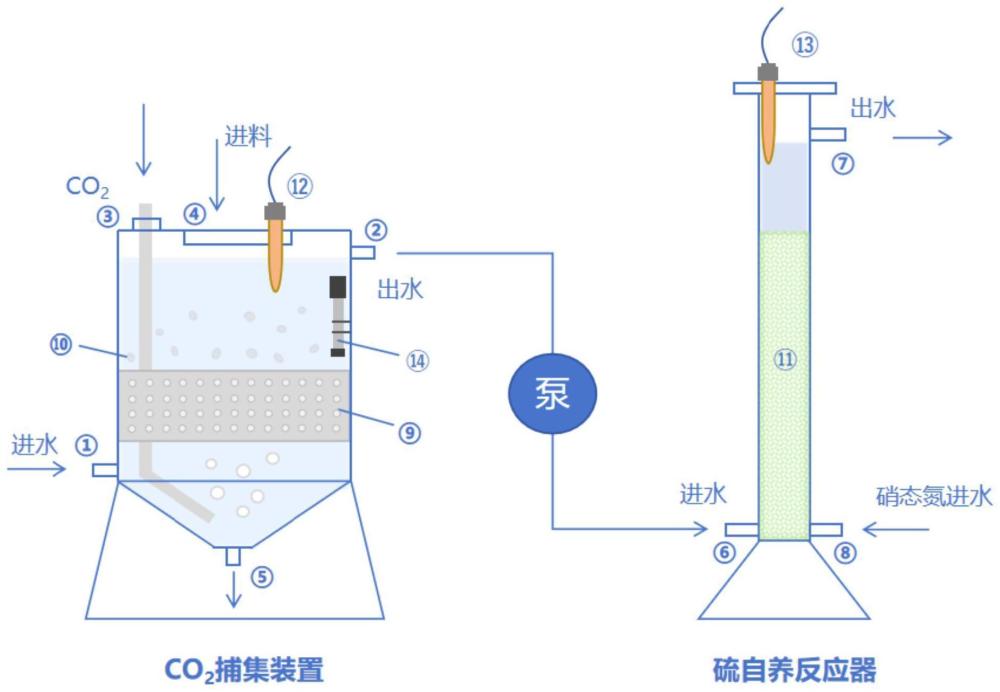 一种利用冶金副产物捕集二氧化碳并驯化硫自养反硝化菌群的装置与方法与流程