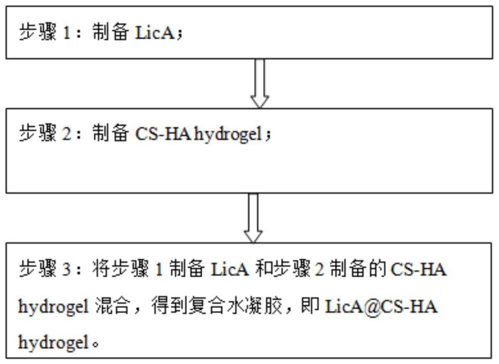 一种负载甘草查尔酮A的壳聚糖-透明质酸水凝胶及其制备方法