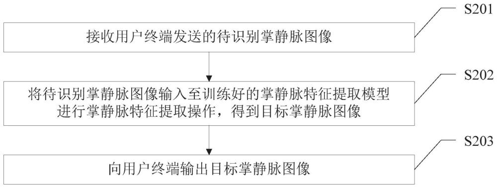 一种掌静脉识别方法、装置、计算机设备及存储介质与流程