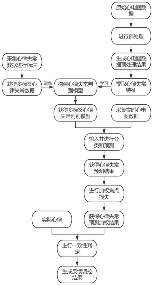 基于多尺度神经网络模型的多标签心律失常判别方法与流程