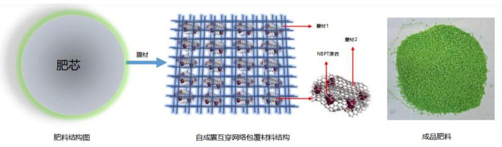 一种含有增效剂的复合肥料及其制备方法