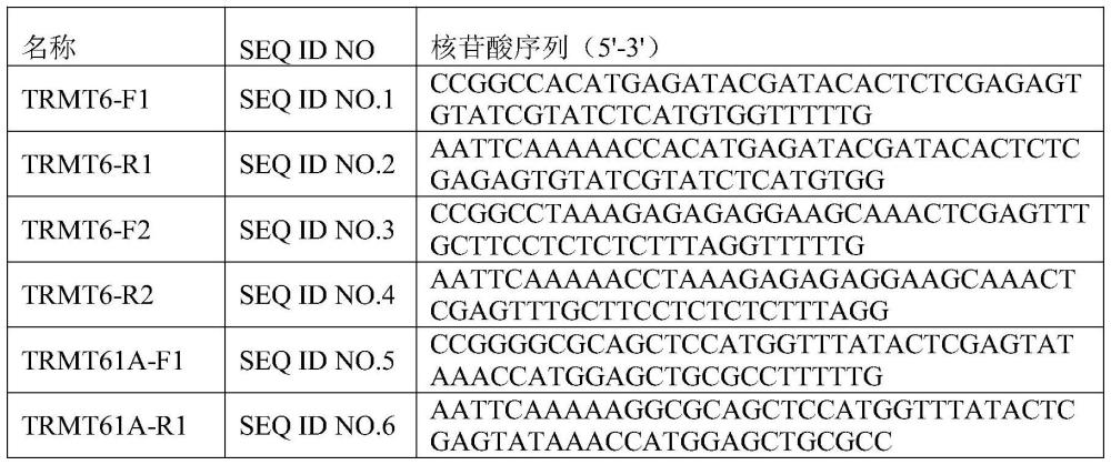 TRMT6/TRMT61A及其结合抑制剂在治疗卵巢癌中的应用