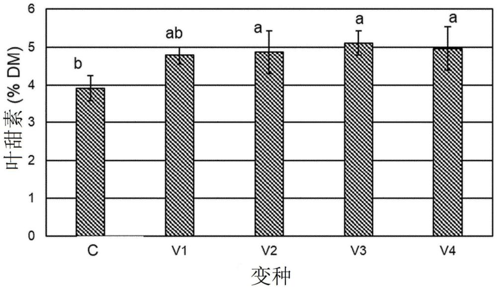 具有增加的叶甜素含量的干燥植物材料的制备的制作方法