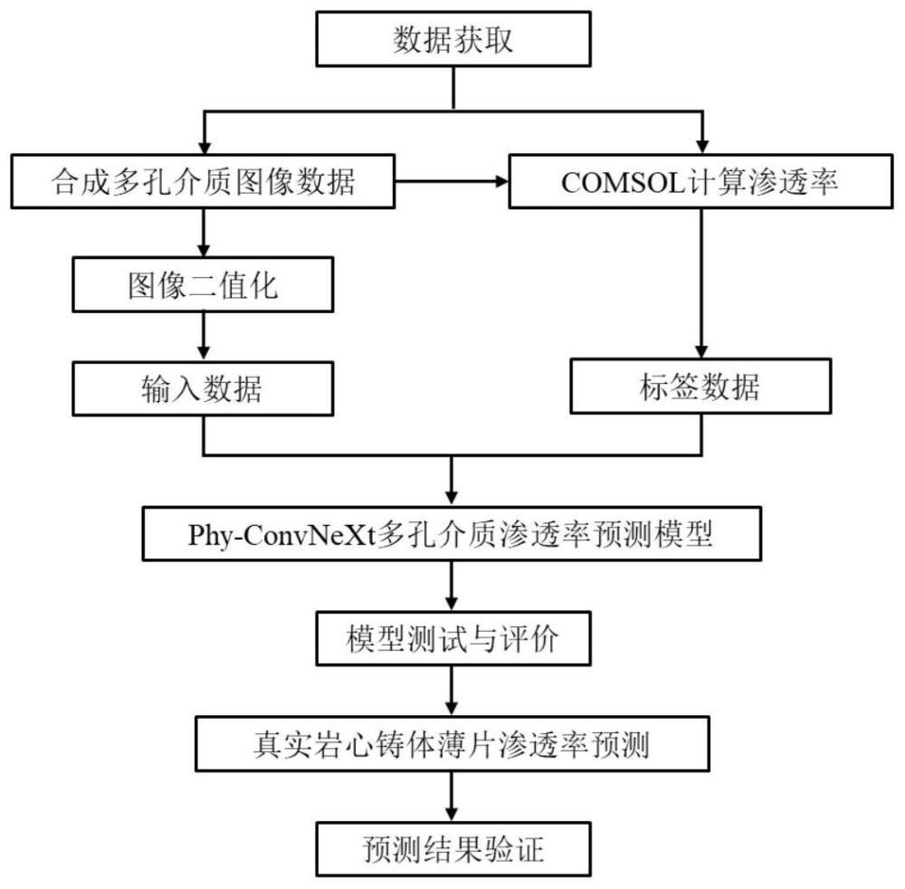 一种基于Phy-ConvNeXt卷积神经网络的铸体薄片渗透率快速预测方法