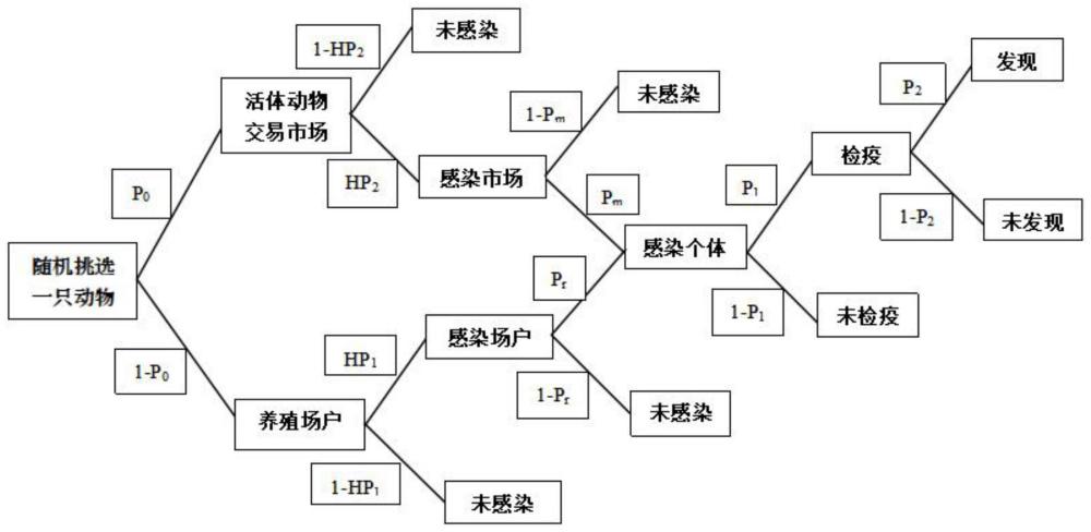 基于活羊调运的羊传染性疫病传播风险定量评估方法及应用与流程