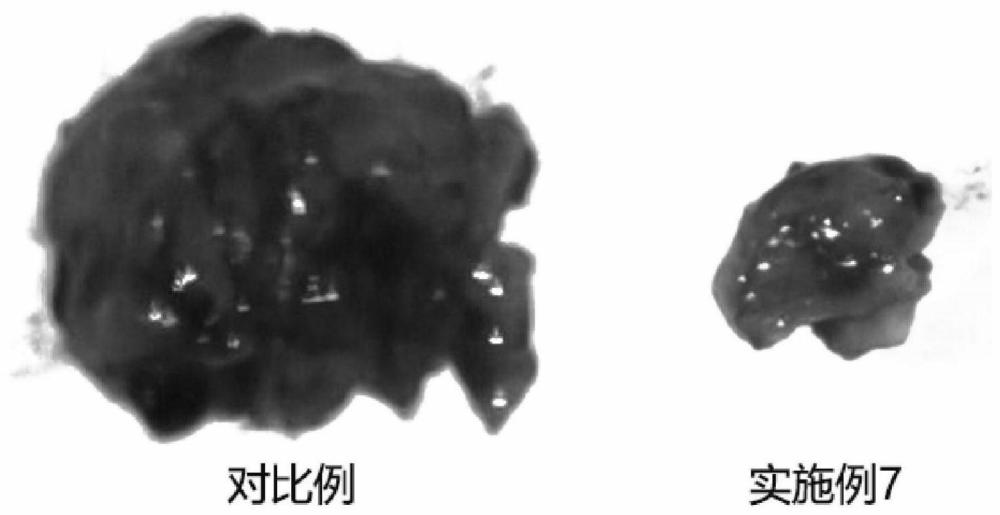 一种兼具促成骨、促血管化和抗肿瘤作用的生物医用镁合金