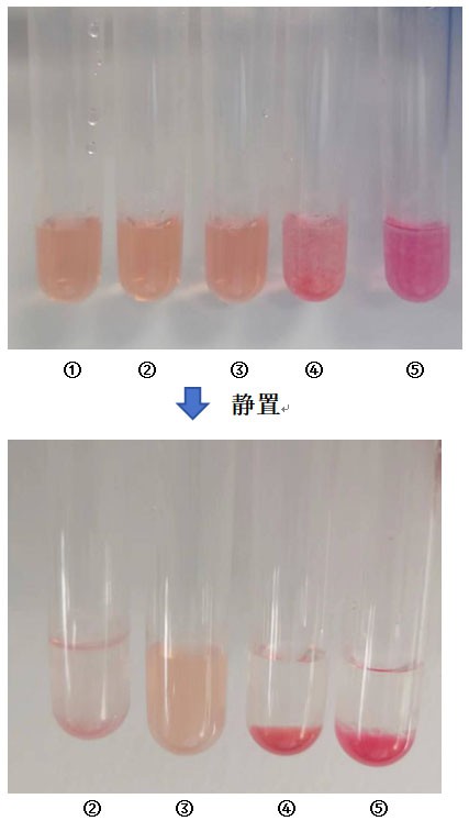 一种小米糠多糖的提取及应用方法