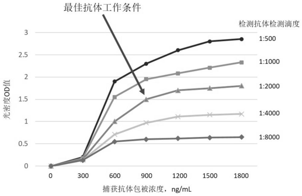 一种用于诊断肺癌的检测试剂盒及应用