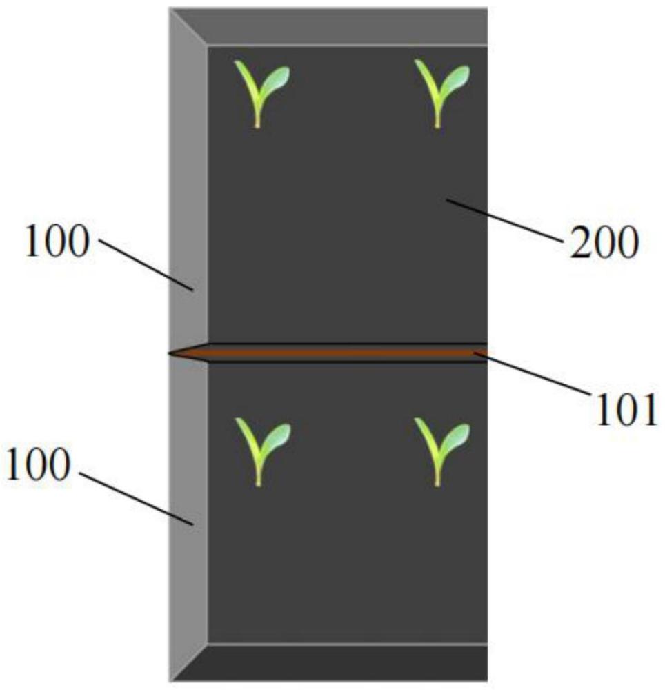 一种玉米连作种植方法