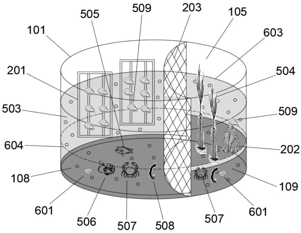 一种红树林种养耦合模式模拟平台及方法与流程