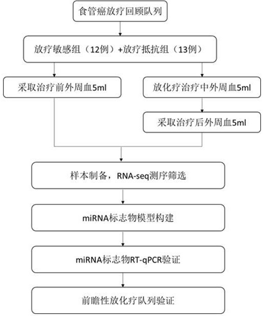 预测放化疗治疗食管癌效果的标志物及其用途的制作方法