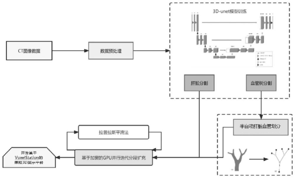 一种基于血管流域的肝脏分段方法及系统