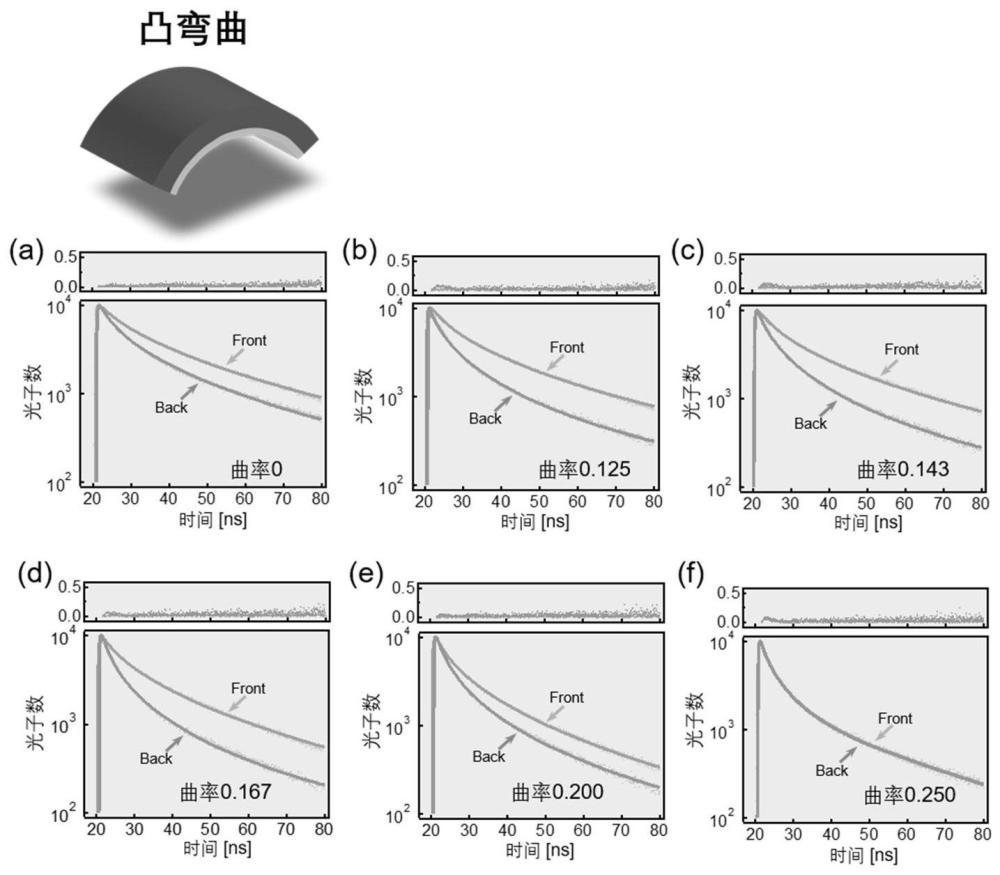 基于正反面激发时间分辨荧光光谱的薄膜载流子动力学模拟方法