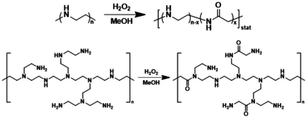 可降解的聚乙烯亚胺衍生物基因载体