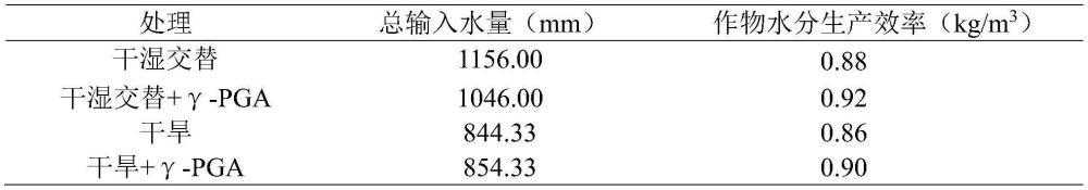 一种施用聚谷氨酸提高水稻水分生产效率的方法