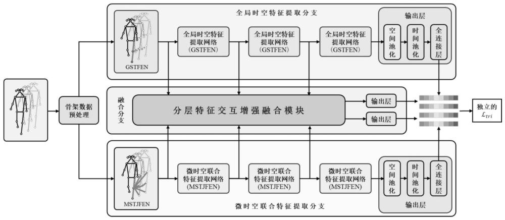 一种基于骨架时空联合特征交互增强的跨视角步态识别方法