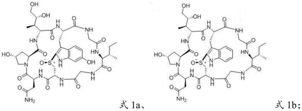 环肽毒素α-Amanitin和/或Amaninamide的制备方法、中间体及应用